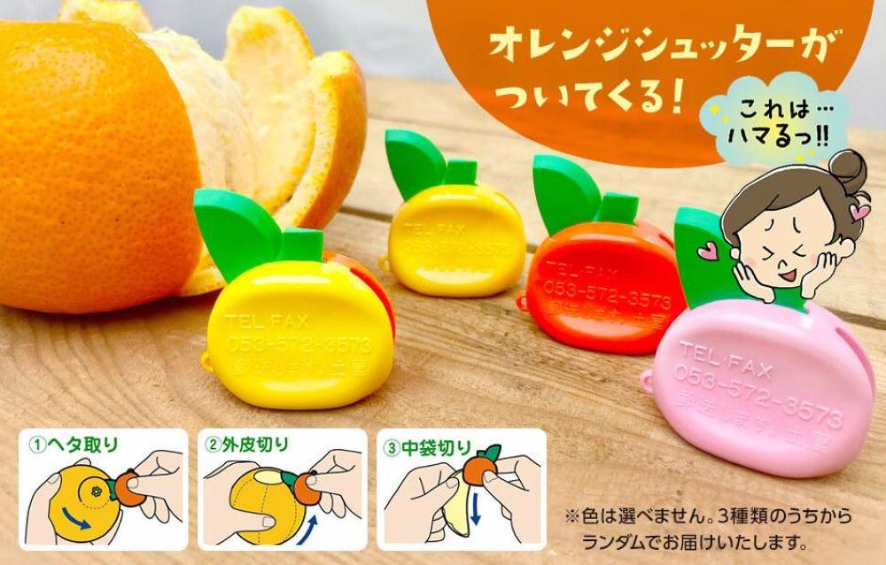 八朔 訳あり それでも 有田の八朔  (はっさく) 箱込 5kg (内容量約 4.4kg) サイズミックス B品 和歌山県産  産地直送［おまけ付き］［みかんの会］