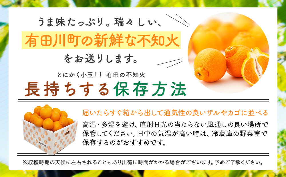 不知火 とにかく 小玉 箱込10kg (内容量約 9.2kg)  秀優品混合 和歌山県産 産地直送［みかんの会］