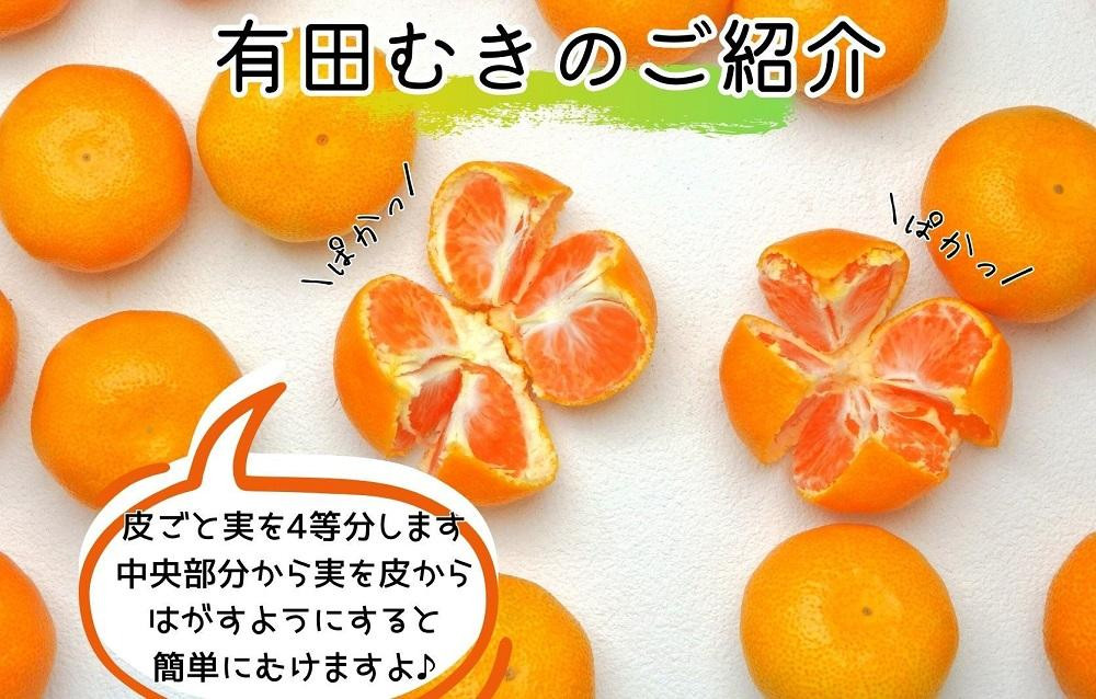 【5月出荷予定】小玉ちゃん ハウスみかん 温室栽培 夏の有田みかん 1kg 秀品 2Sサイズ以下 和歌山県 産地直送 みかんの会