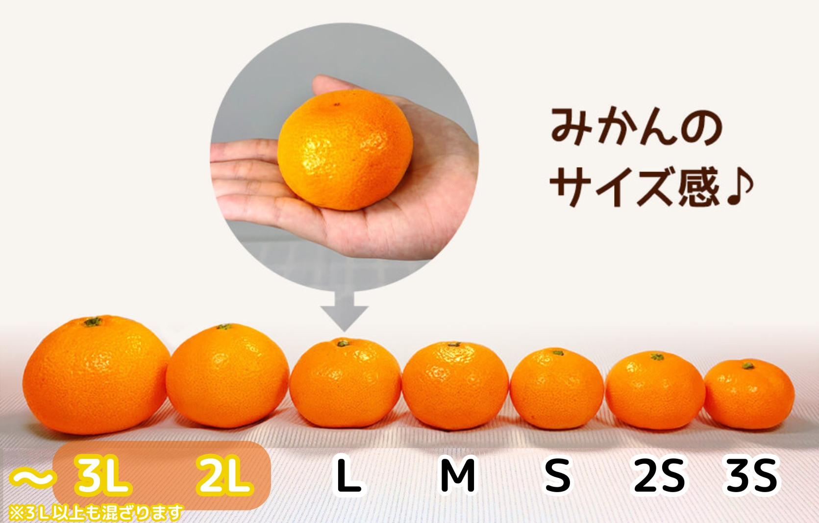［先行予約］熟成 みかん とにかく 大玉 箱込10kg ( 内容量 9.2kg )2Lサイズ以上 秀品 優品 混合 有田みかん 和歌山産 産地直送 家庭用【みかんの会】