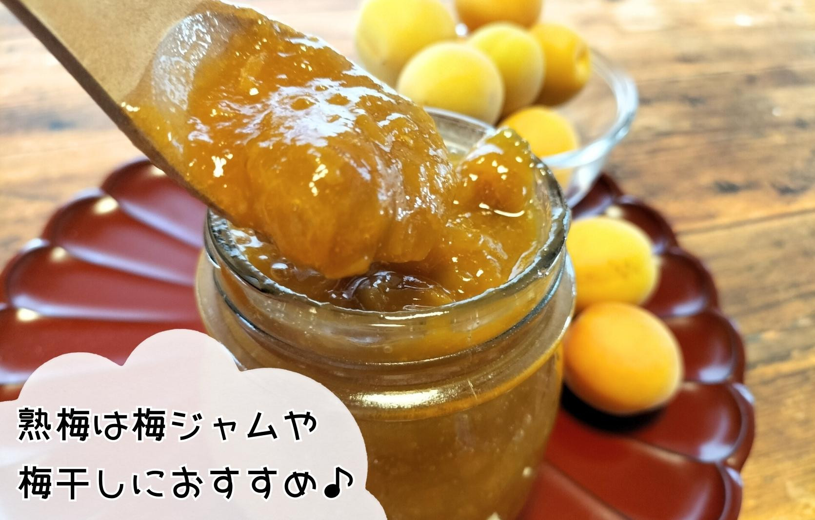 熟梅 南高梅 3kg 秀品 LまたはMサイズ 和歌山県産 A品 梅干し作り用 梅ジャム作り用