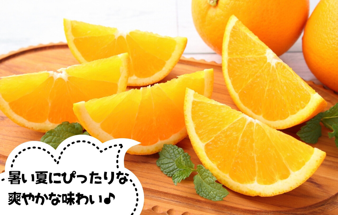 バレンシアオレンジ 国産 玉ぞろい 秀品 箱込 10kg (内容量 9.2kg ) 2L L M サイズのいずれか 和歌山県産 産地直送【みかんの会】