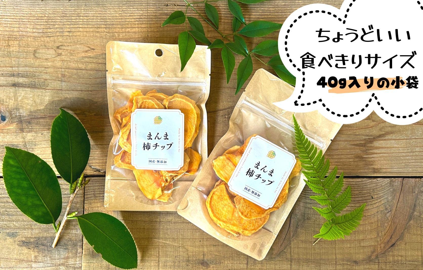 ドライフルーツ 柿チップ 800g ( 40g × 20袋 ) 和歌山県産 果物使用 自社製造 【みかんの会】