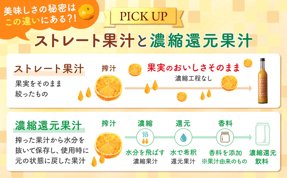 みかんの会 みかんジュース ギフト 500ml×3本