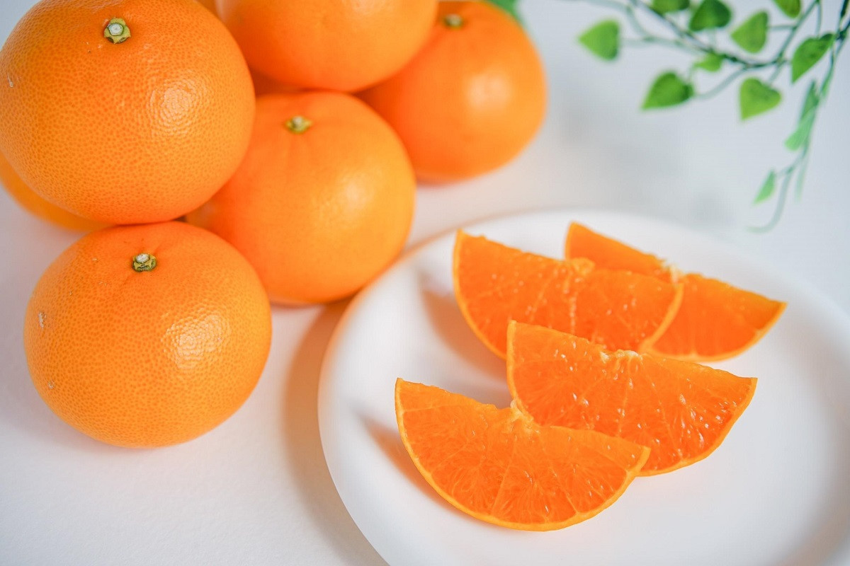 ［2箱セット］ハーフ 化粧箱 柑橘の大トロ ハウス せとか 厳選 8玉入 × 2箱 南泰園