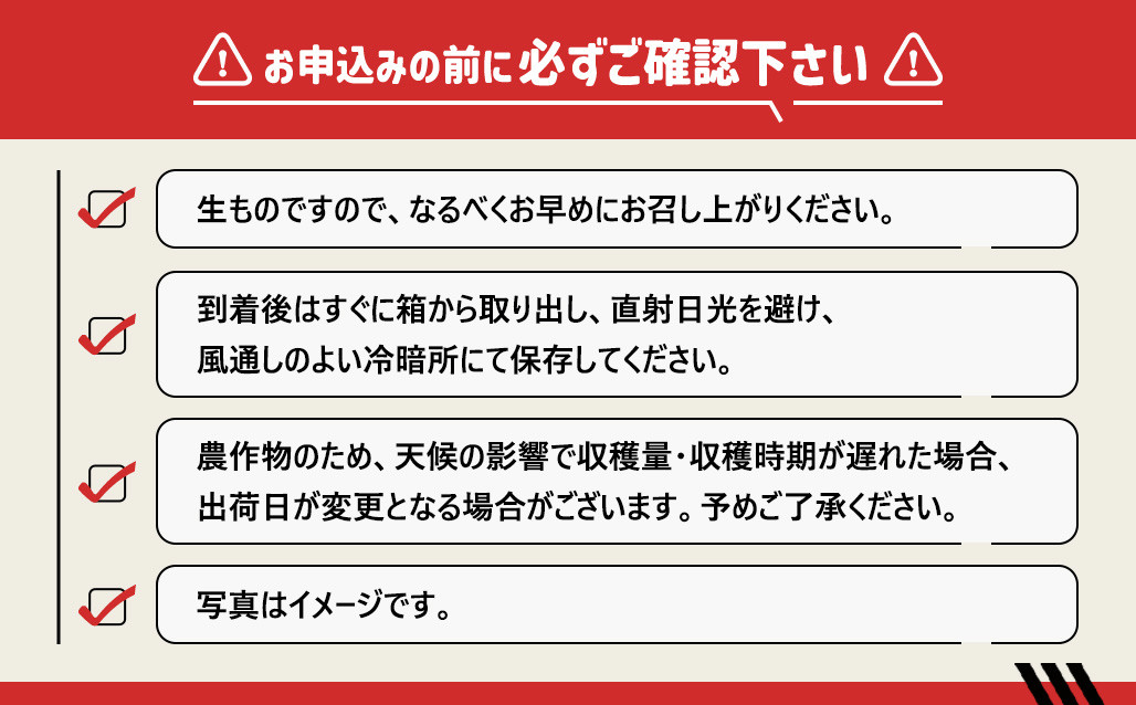 [秀品]有田のブランドみかん「賢みかん」10kg （2Sサイズ）［2026年11月中旬頃より順次発送］