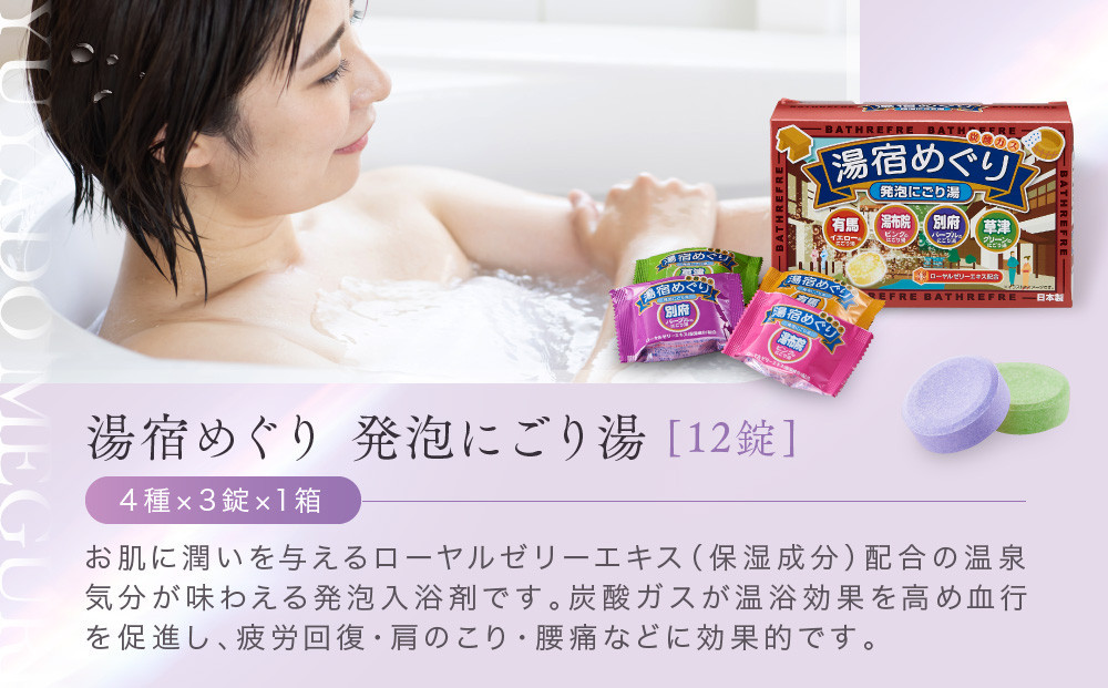 有田川町入浴剤アソートセット 60日分12種入り