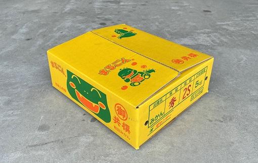 有田みかん 5kg 2Sサイズ 光センサー使用 高糖度