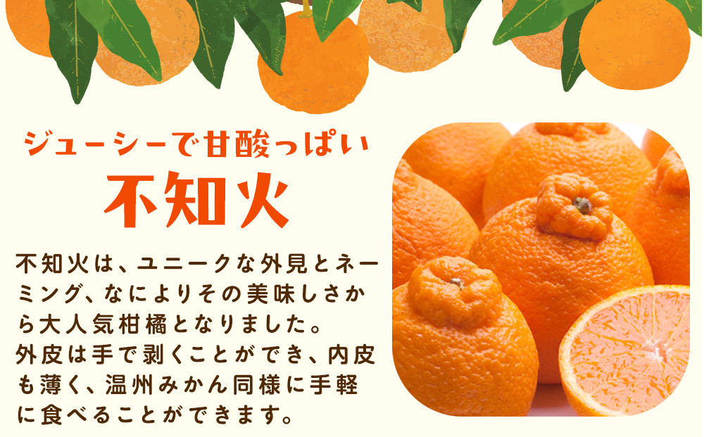 ［先行予約］厳選 不知火1kg+250g（傷み補償分）［デコポンと同品種・人気の春みかん］