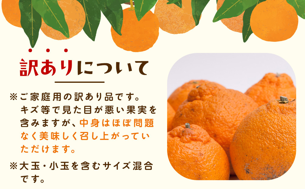 ［先行予約］家庭用 不知火5kg+250g（傷み補償分）［デコポンと同品種・人気の春みかん］［わけあり・訳あり］