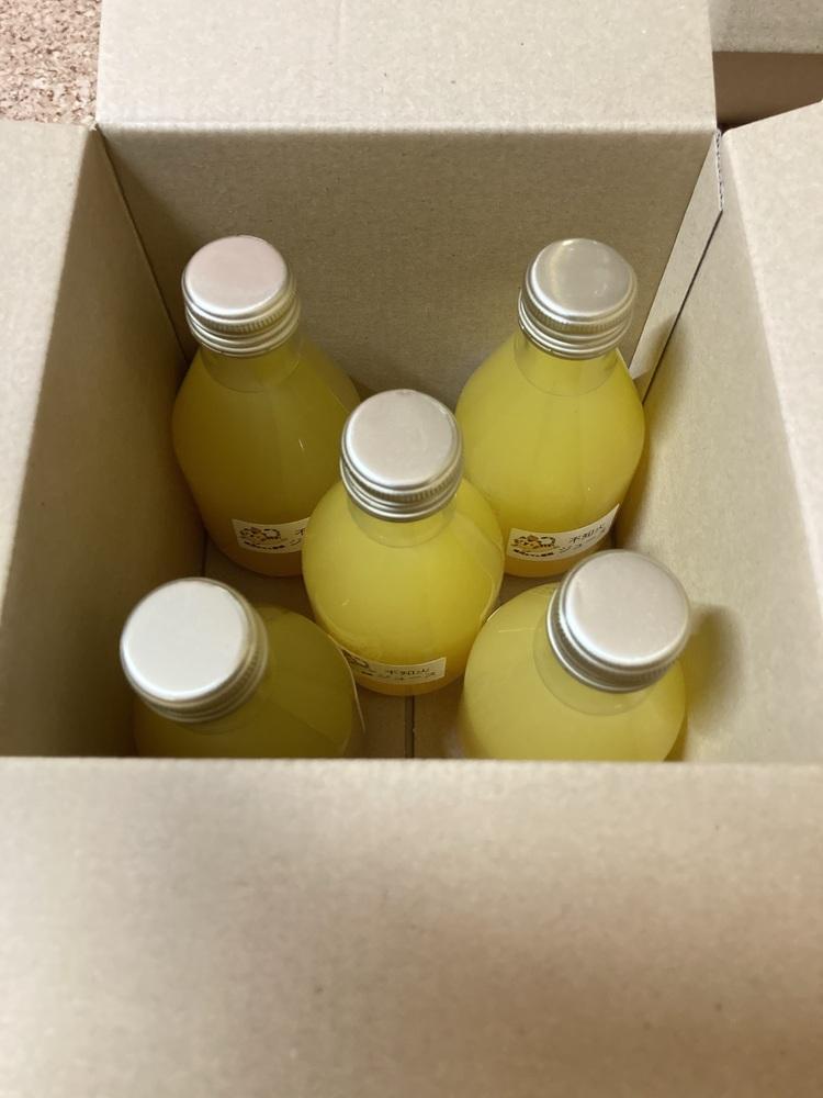 数量限定 有田みかんの産地から届く 果汁100％！ 搾りたての柑橘ジュース 180ml×5本