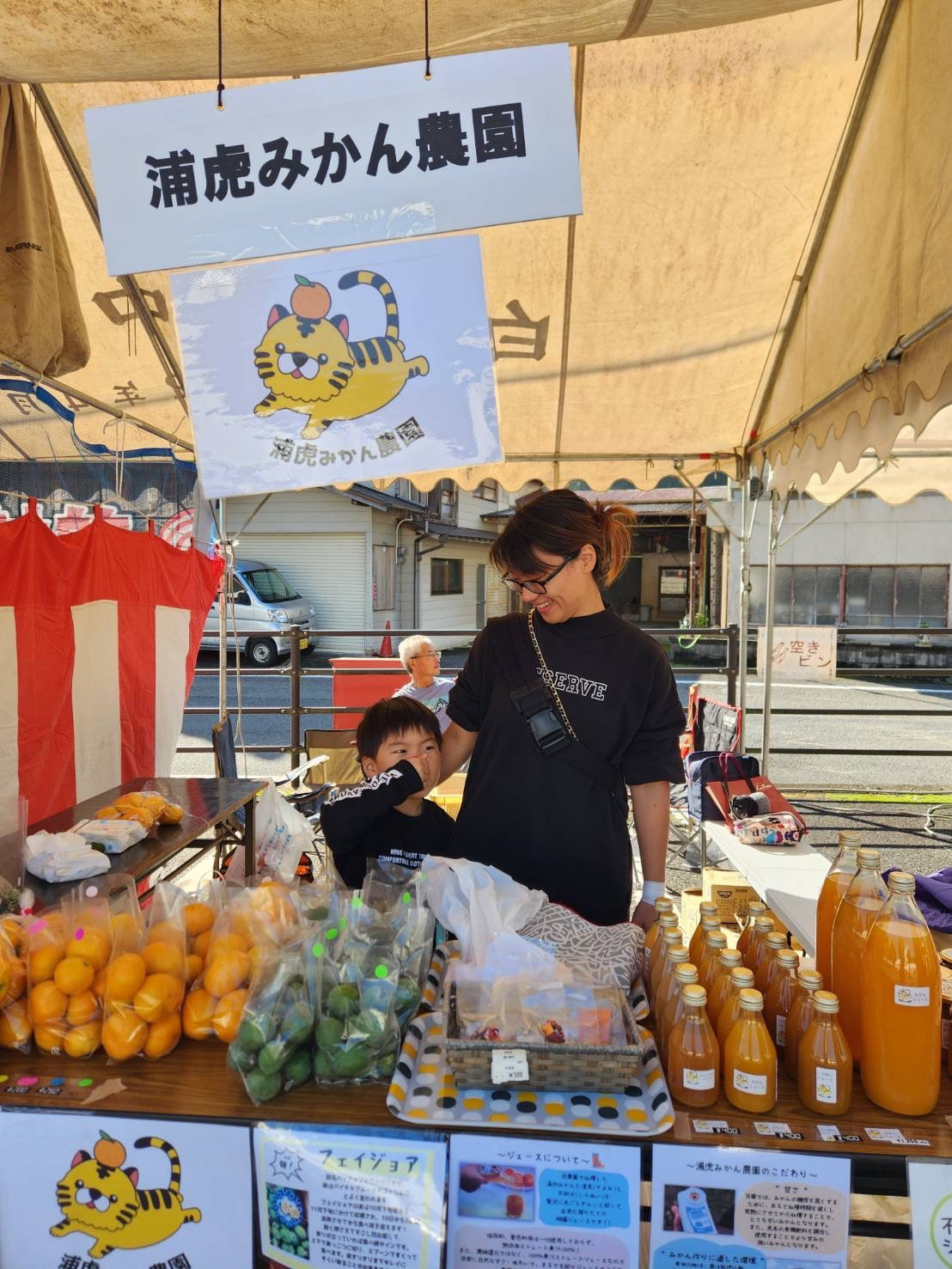 12/23までにご入金確認分は年内発送確定！きれいな温州みかん 寄贈用にお勧め 箱込み約 10kg (S～Lサイズ混合)