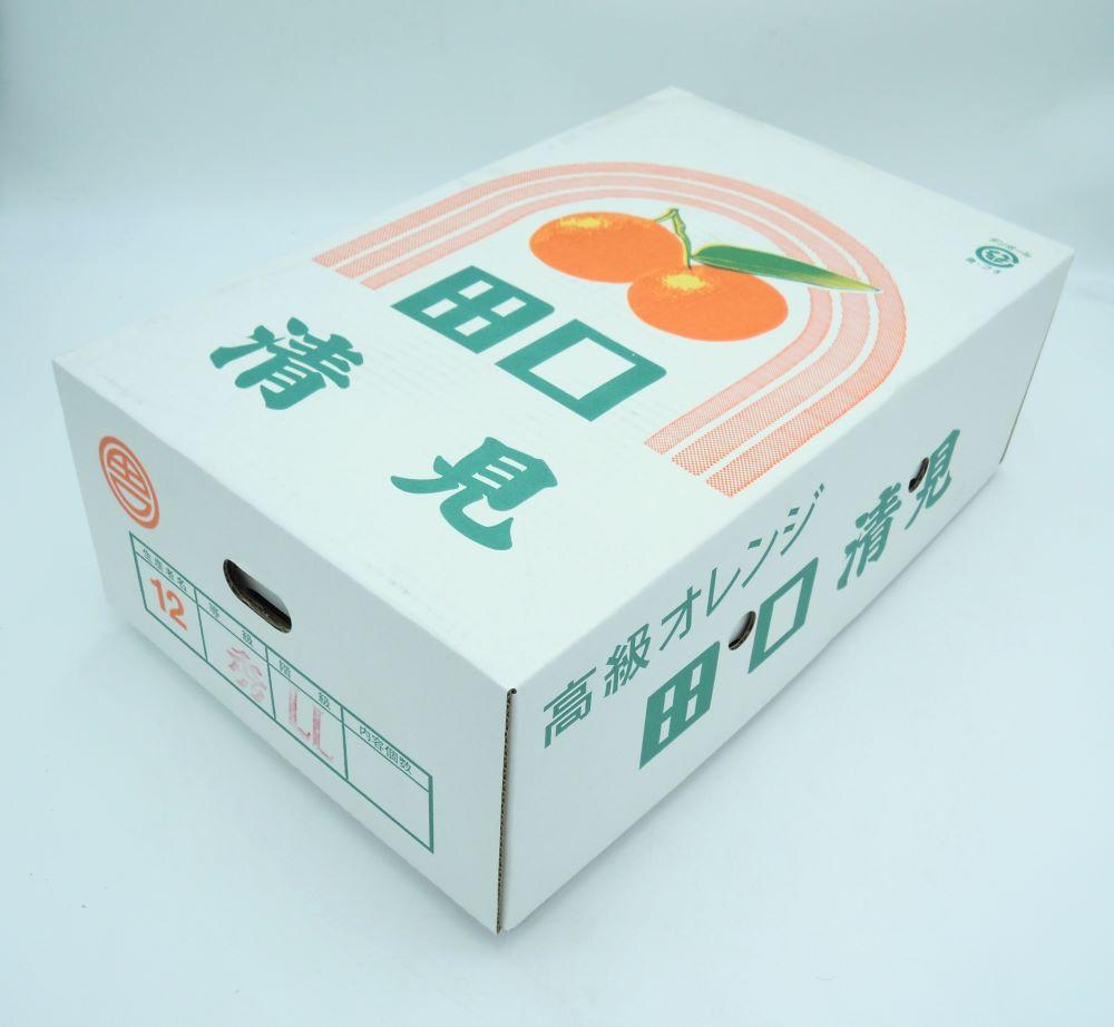 田口の清見オレンジ 秀品 約5kg L～3L（30玉～18玉） サイズおまかせ 化粧箱入り【2026年2月26日～2026年3月31日頃より順次発送】