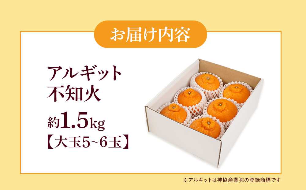 アルギット 不知火 約1.5kg 大玉 サイズ（5～6玉）| 先行予約 不知火 デコ みかん 甘い おいしい ジューシー 完熟 期間限定 数量限定 フルーツ 果物 柑橘 人気 おすすめ 高級 こだわり ギフト 旬 お取り寄せ 送料無料 和歌山 有田川町