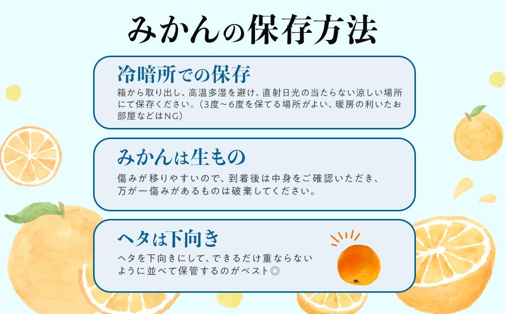 先行予約早生みかん 約5kg サイズ混合 和歌山県 有田みかん  2025年11月中旬頃発送