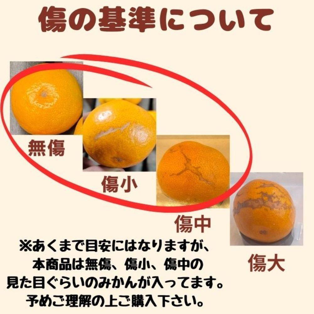 有田みかん 早生S〜Lサイズ混合 約20kg