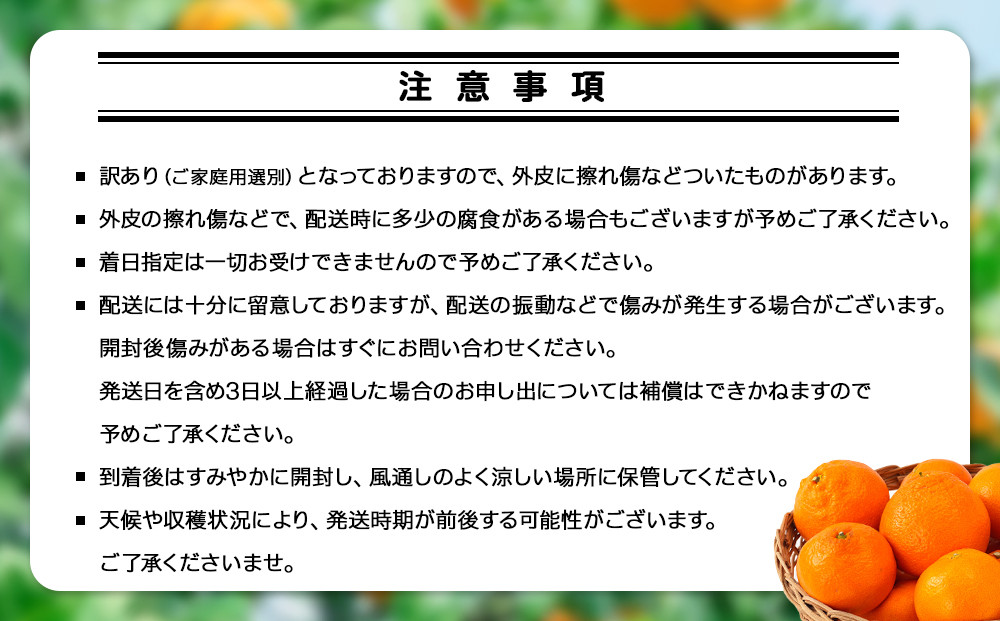 手が止まらない 訳あり 有田みかん 約3kg 大きさ無選別（2S〜3L） 糖度11度以上 鳴川農園 　［2026年11月以降発送予定］