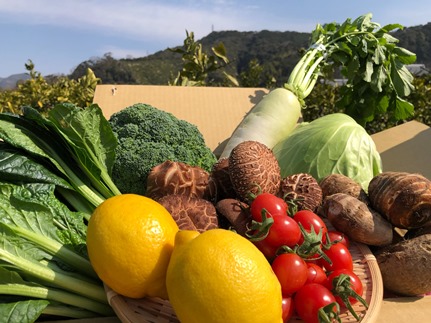 【産地直送】採れたて新鮮園主おすすめ季節の野菜セット
