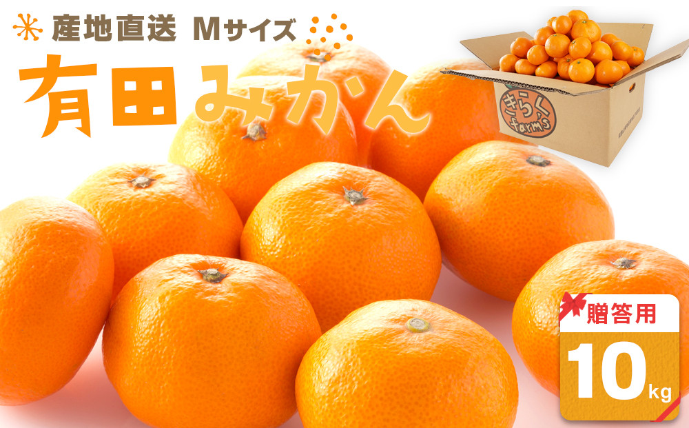 産地直送 贈答用 有田みかん Mサイズ 約10kg 喜楽farms 【2025年11月以降順次発送】