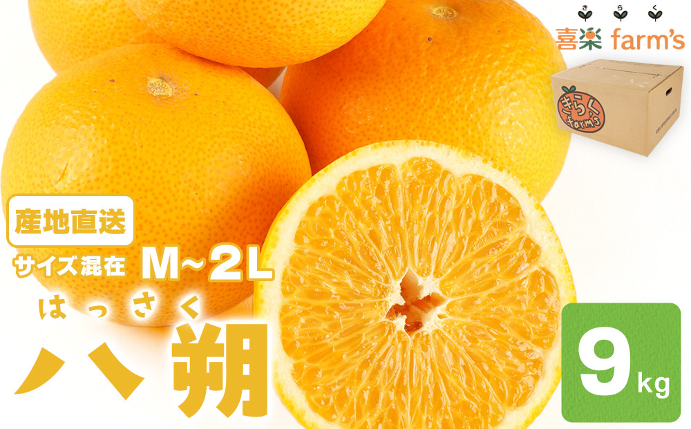 【産地直送】☆八朔☆サイズ混載（M～２L）☆9kg