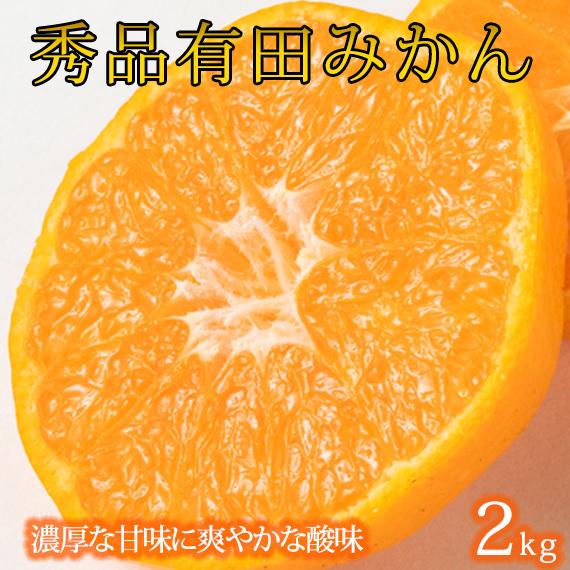 紀州有田産濃厚甘熟温州みかん約2kg (2S ～ Lサイズのいずれか)［2026年11月下旬以降発送］［先行予約］