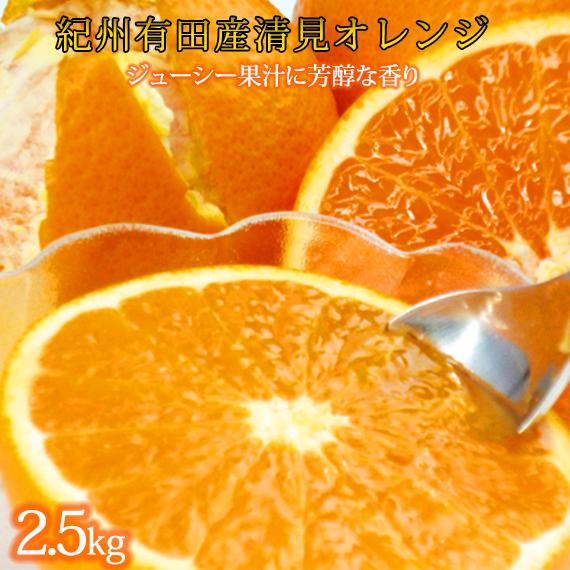 とにかくジューシー清見オレンジ 約2.5kg［2026年3月下旬以降発送］［先行予約］［UT131w］