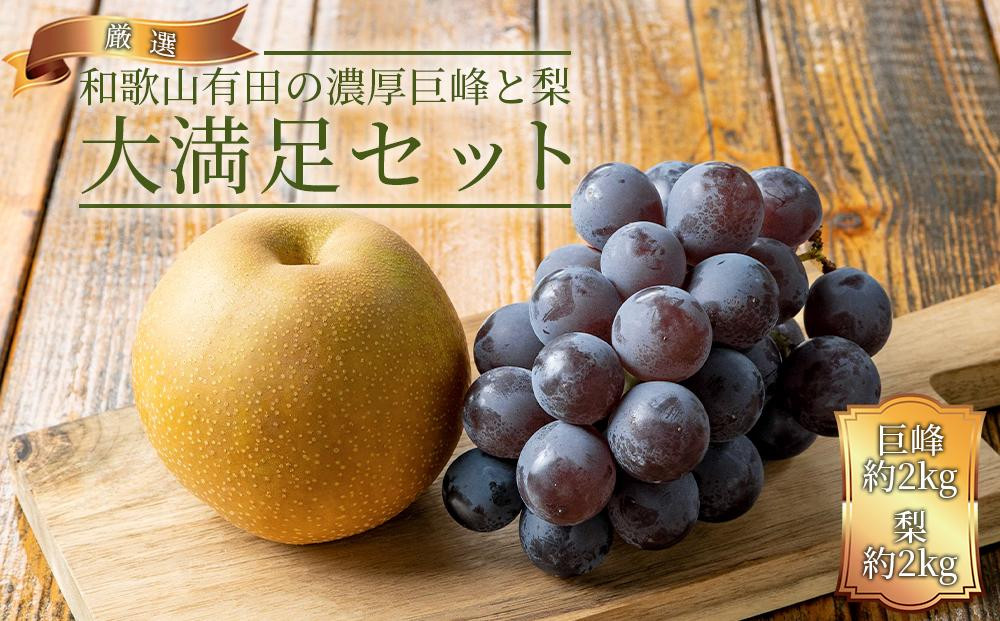 農家直送 和歌山有田の朝採り 巨峰 と 梨 大満足セット［2026年・先行予約］
