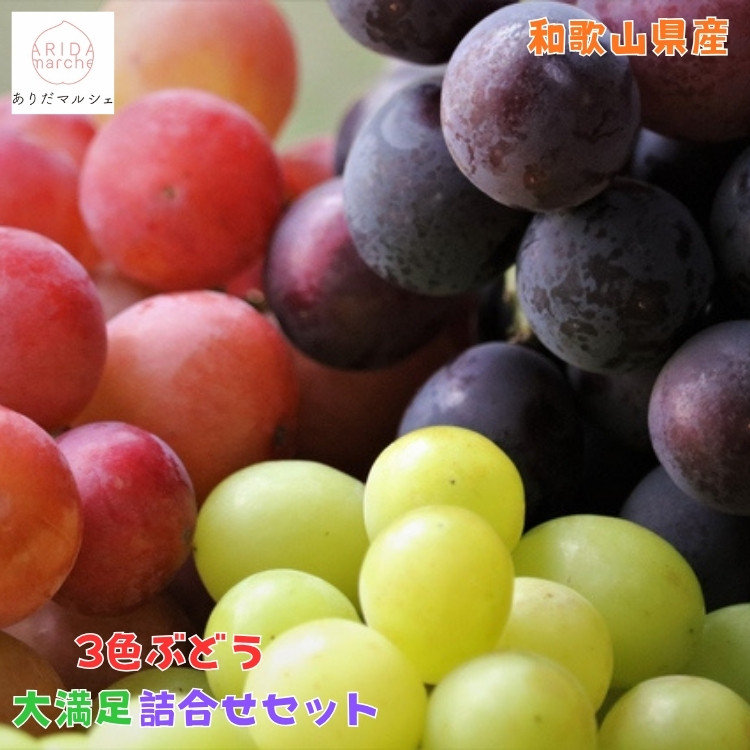 農家直送 ３色ぶどう詰め合わせ大満足セット 約4kg入り［2026年・先行予約］