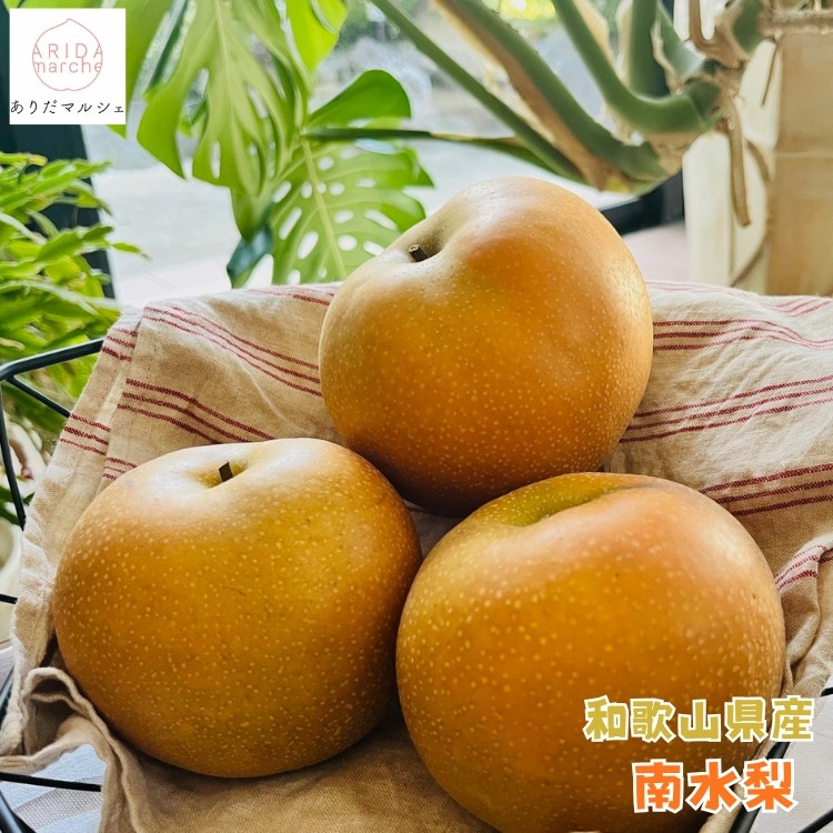 有田の 樹上 成熟 梨 農家直送 南水 梨 約2kg［2026年・先行予約］