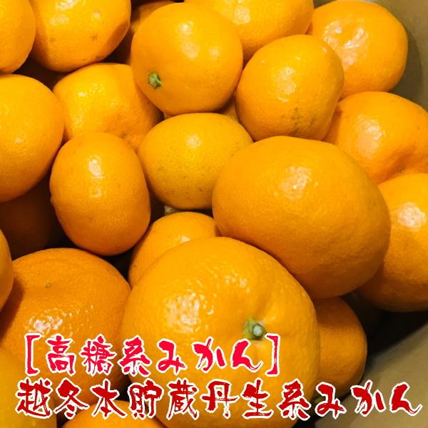 越冬本貯蔵 丹生系 みかん 5kg【先行予約】【高糖系みかん】