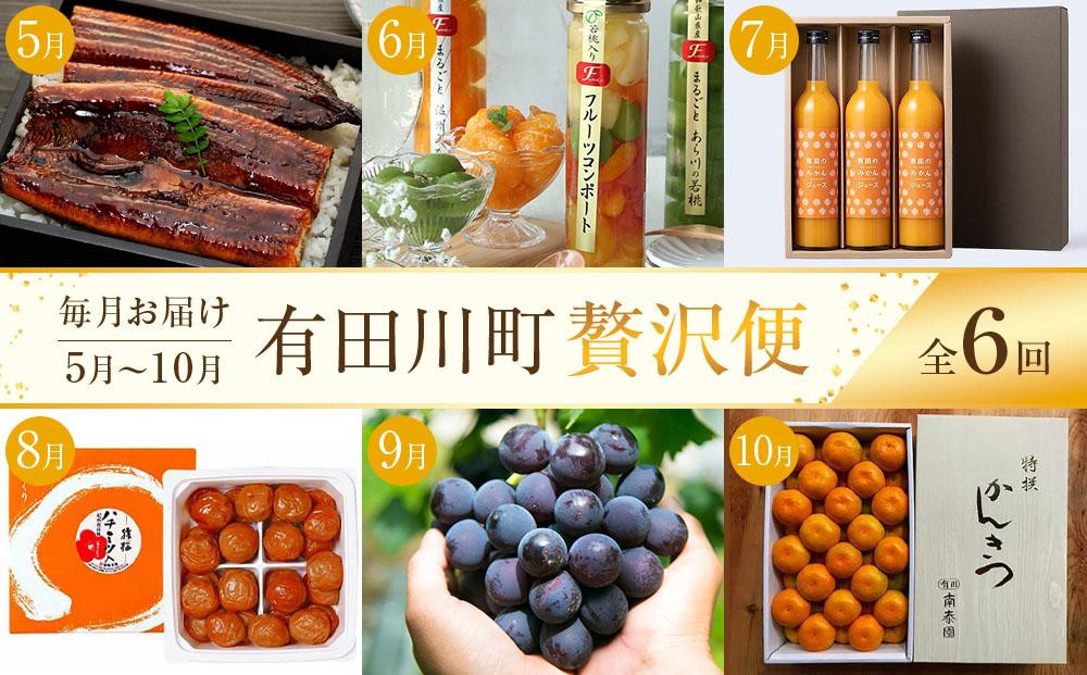 全6回 有田川町から贅沢定期便（5月～10月発送）フルーツ うなぎ スイーツ 梅干し など