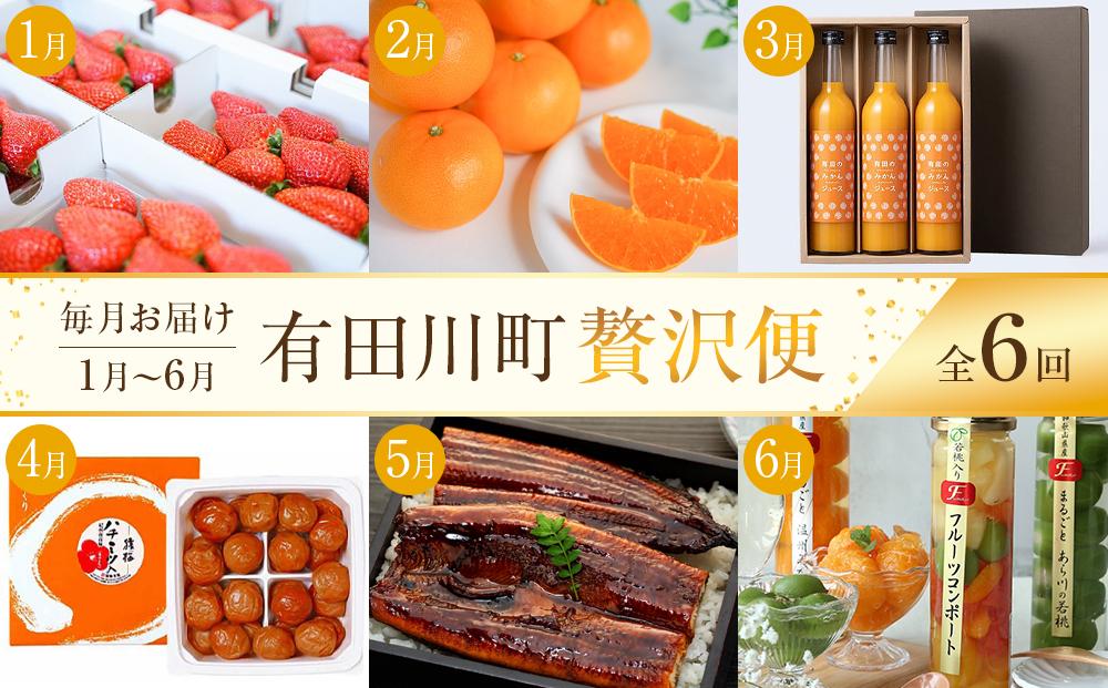 全6回 有田川町から贅沢定期便（1月～6月発送）フルーツ うなぎ スイーツ 梅干し など