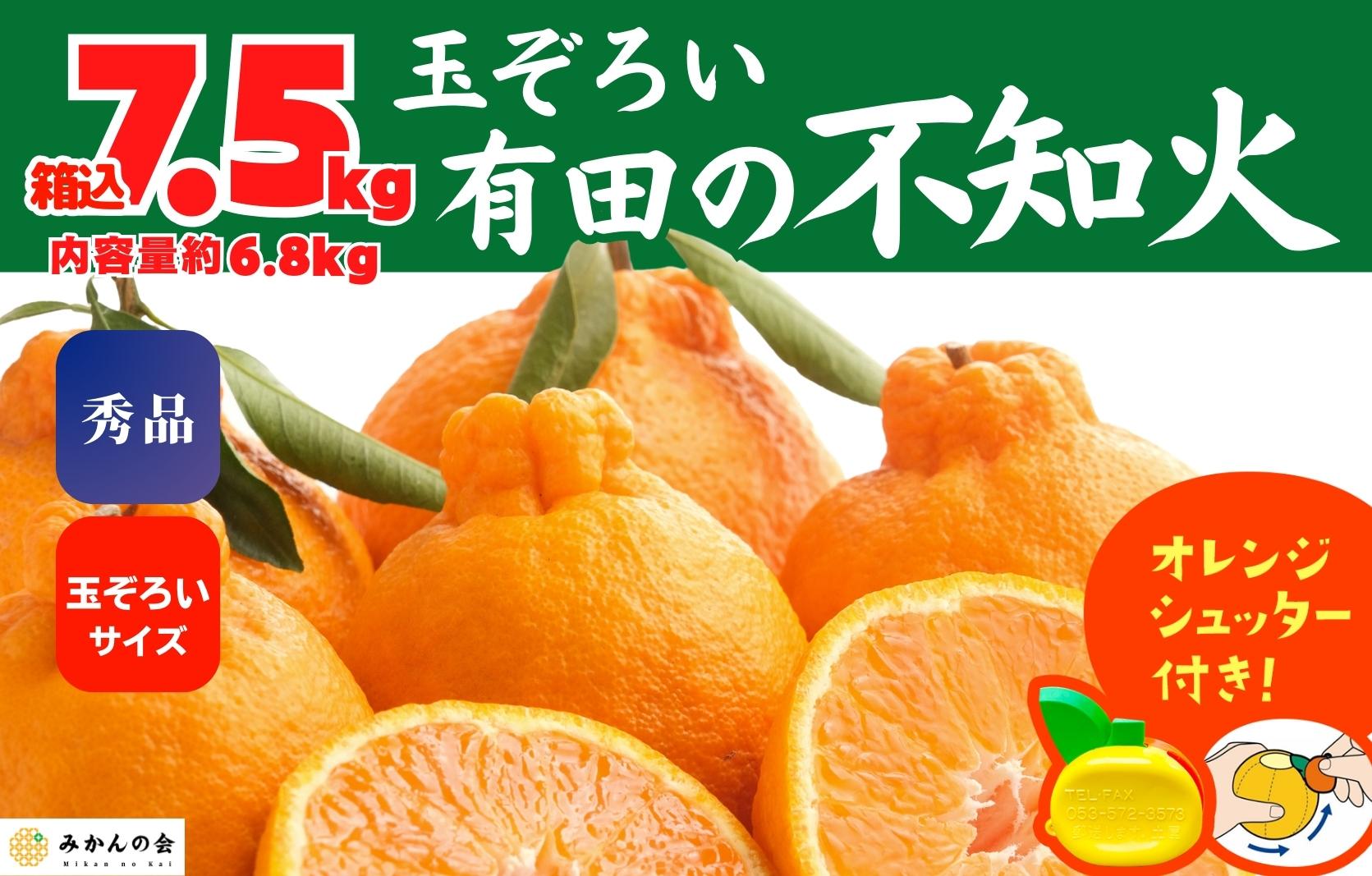 不知火 (しらぬい) 秀品 玉ぞろい 箱込 7.5kg (内容量約6.8kg)  和歌山県産 産地直送［みかんの会］