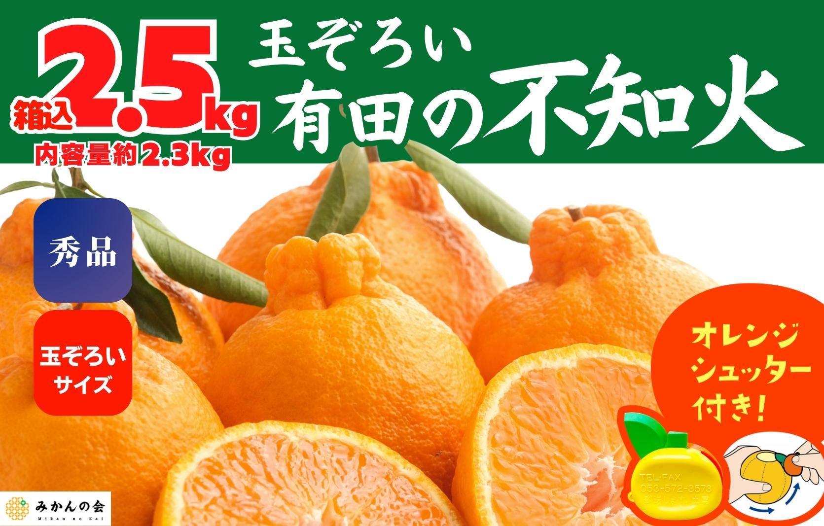 不知火 (しらぬい) 秀品 玉ぞろい 箱込 2.5kg (内容量約2.3kg)  和歌山県産 産地直送［みかんの会］