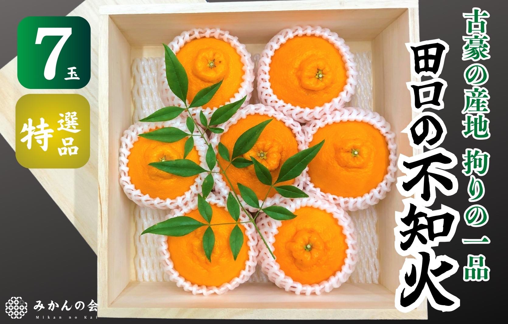 不知火 古豪の産地 田口の不知火 7玉木箱入 特選品 産地直送 贈答用 数量限定［みかんの会］