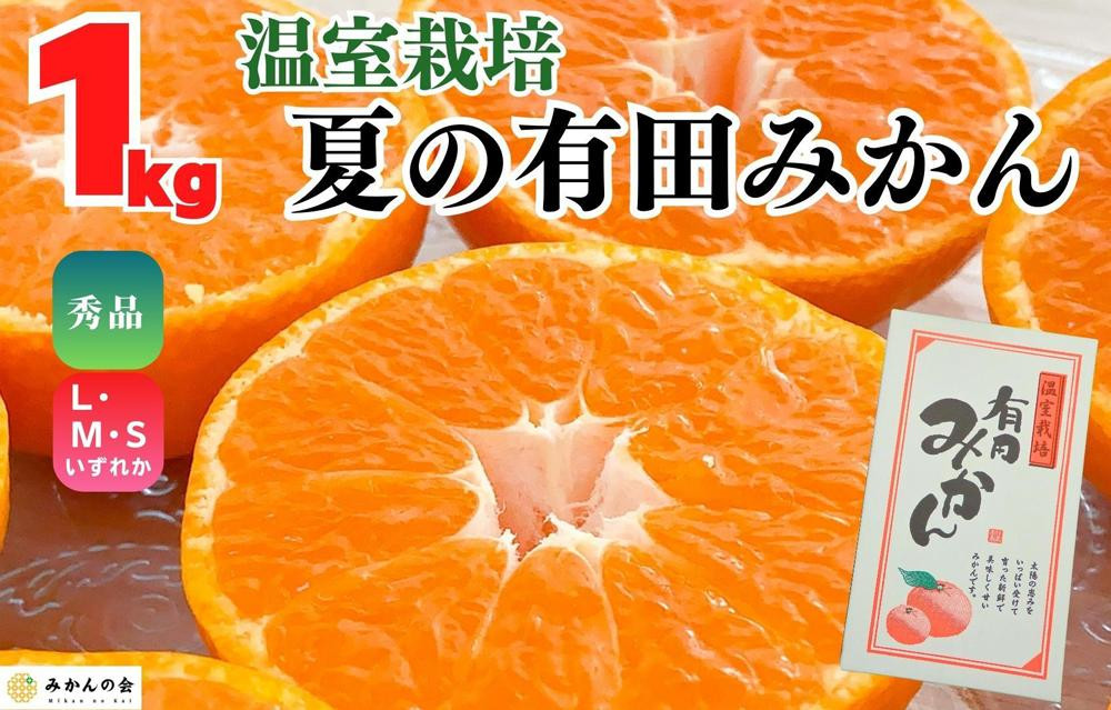 【5月出荷予定】ハウスみかん 温室栽培 夏の有田みかん 1kg 秀品 S・M・Lサイズのいずれか 和歌山県 産地直送 みかんの会