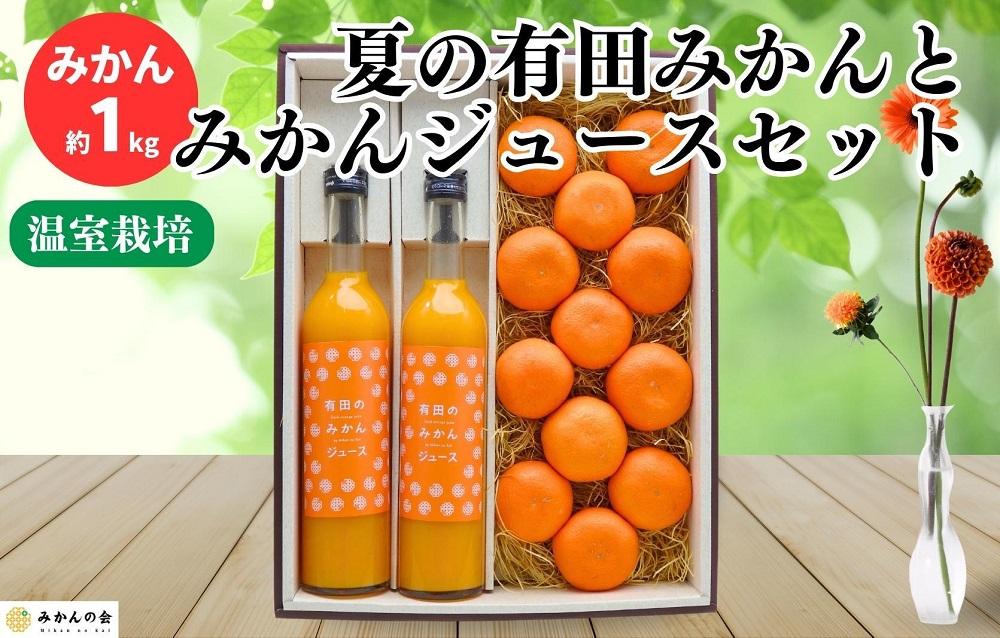【お中元】夏の有田みかん (約1kg) と有田のみかんジュース（500ml×2本）和歌山県産 産地直送【7月上旬～8月上旬に順次発送】