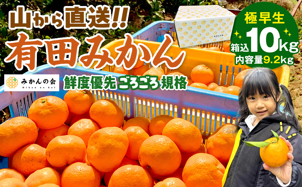 みかん 極早生 山から直送 箱込 10kg (内容量約 9.2kg) 採れたてそのままごろごろ規格 有田みかん 和歌山県産 【みかんの会】