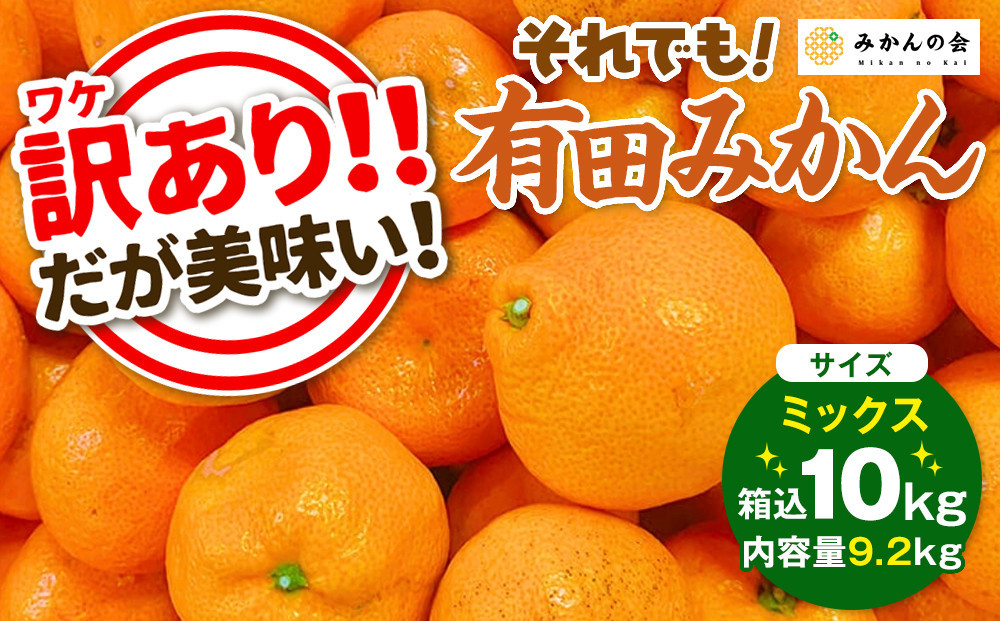 訳あり それでも 有田みかん 箱込 10kg (内容量約 9.2kg)  サイズミックス B品 有田みかん 和歌山県産 産地直送 家庭用［2025年11月中旬より2026年1月中旬頃順次出荷予定］［みかんの会］