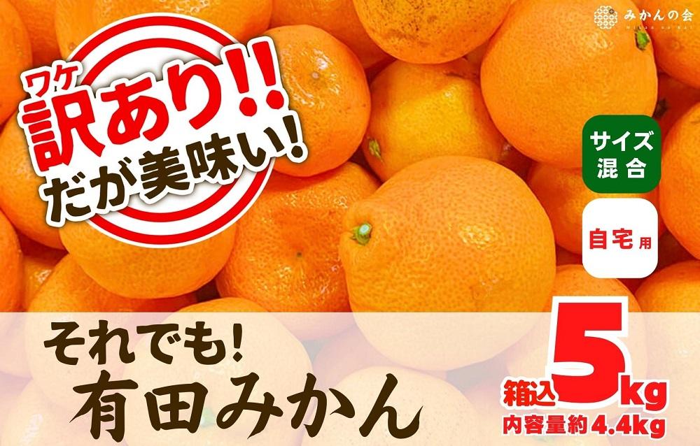 訳あり それでも 有田みかん 箱込 5kg (内容量約 4.4kg)  サイズミックス B品 有田みかん 和歌山県産 産地直送 家庭用［2025年11月中旬より2026年1月中旬頃順次出荷予定］［みかんの会］