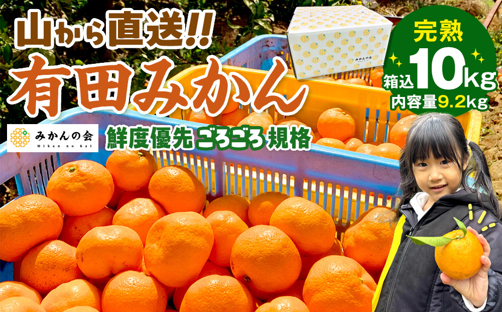 みかん 山から直送 箱込 10kg ( 内容量約 9.2kg ) 鮮度優先ごろごろ規格 和歌山県産 産地直送 家庭用［2025年11月中旬より2026年1月中旬頃順次出荷予定］［みかんの会］