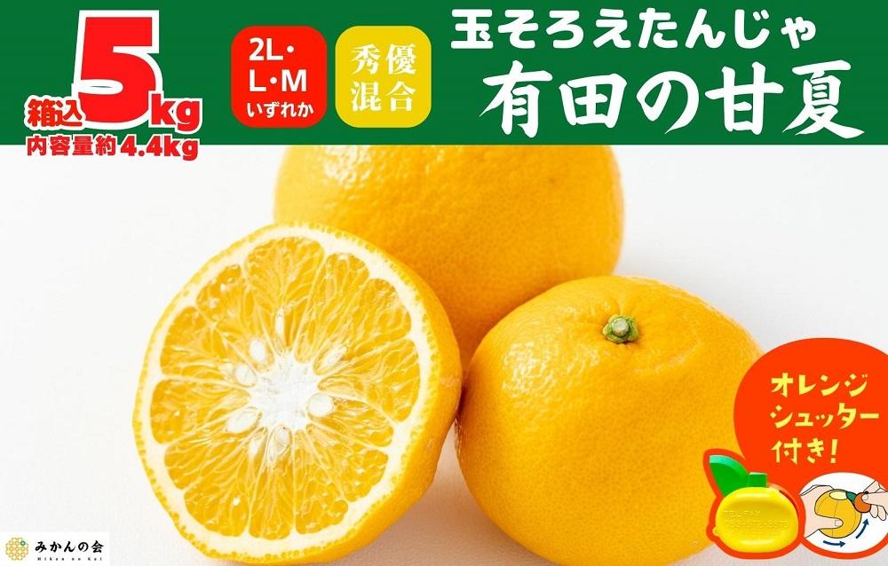甘夏 玉ぞろい 箱込 5kg ( 内容量約 4.4kg ) 秀品 優品 混合 2L  L M サイズのいずれか 和歌山県 産地直送 ［皮むき器付き］ ［みかんの会］