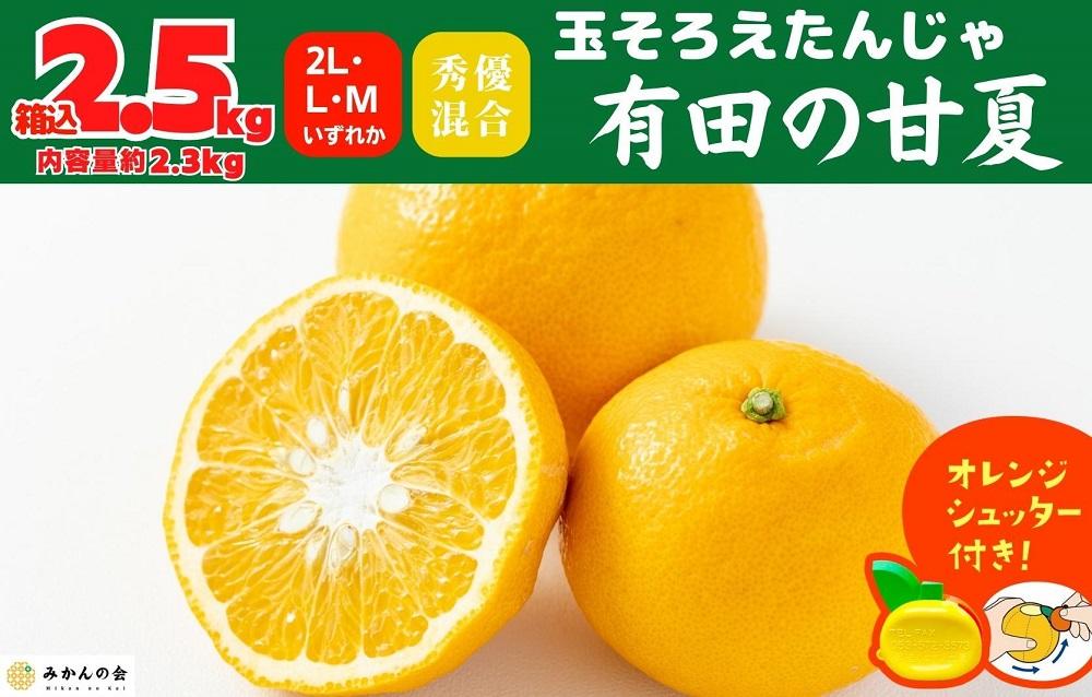 甘夏 玉ぞろい 箱込 2.5kg ( 内容量約 2.3kg ) 秀品 優品 混合 2L  L M サイズのいずれか 和歌山県 産地直送 ［皮むき器付き］ ［みかんの会］