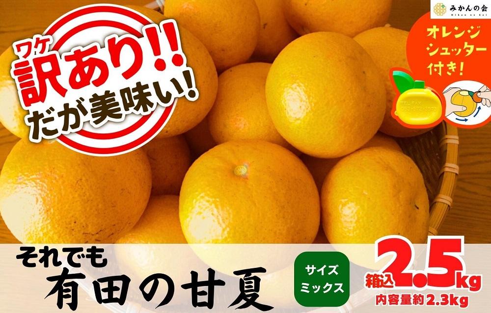 訳あり それでも 甘夏 箱込 2.5kg (内容量約 2.3kg)  サイズミックス 産地直送 家庭用 皮むき器付き［みかんの会］