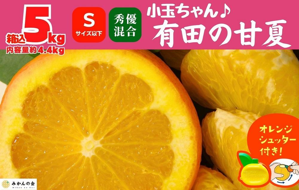 甘夏 小玉ちゃん 箱込 5kg (内容量約 4.4kg) 秀品 優品 混合 Sサイズ以下 産地直送【みかんの会】