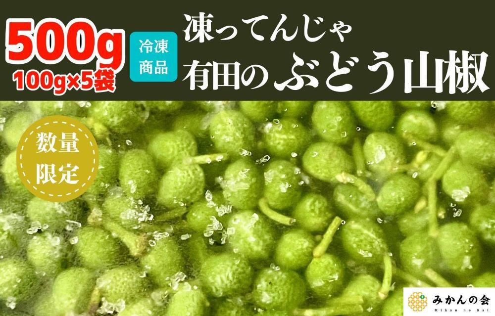 【６月下旬出荷予定】冷凍山椒 凍ってんじゃ ぶどう山椒 500g ( 100g × 5袋 ) 和歌山県産 【みかんの会】