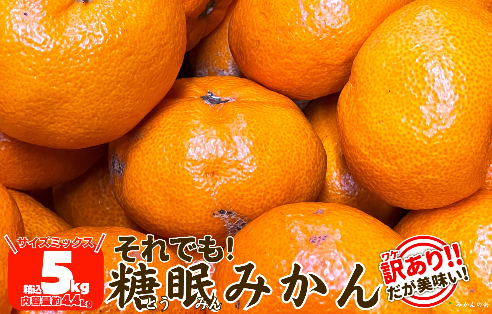 ［先行予約］訳あり それでも 熟成みかん 箱込5kg ( 内容量 4.4kg ) サイズミックス Ｂ品 有田みかん 和歌山県産 産地直送 家庭用 【みかんの会】