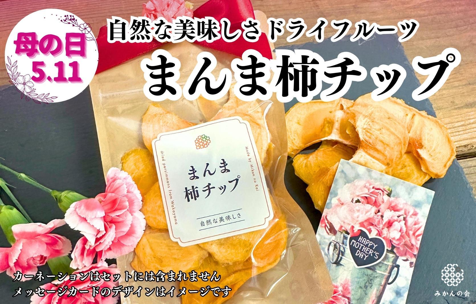 【母の日ギフト】まんま柿チップ 200g (40g × 5袋) ドライフルーツ  和歌山県産 果物使用 国内製造 【みかんの会】