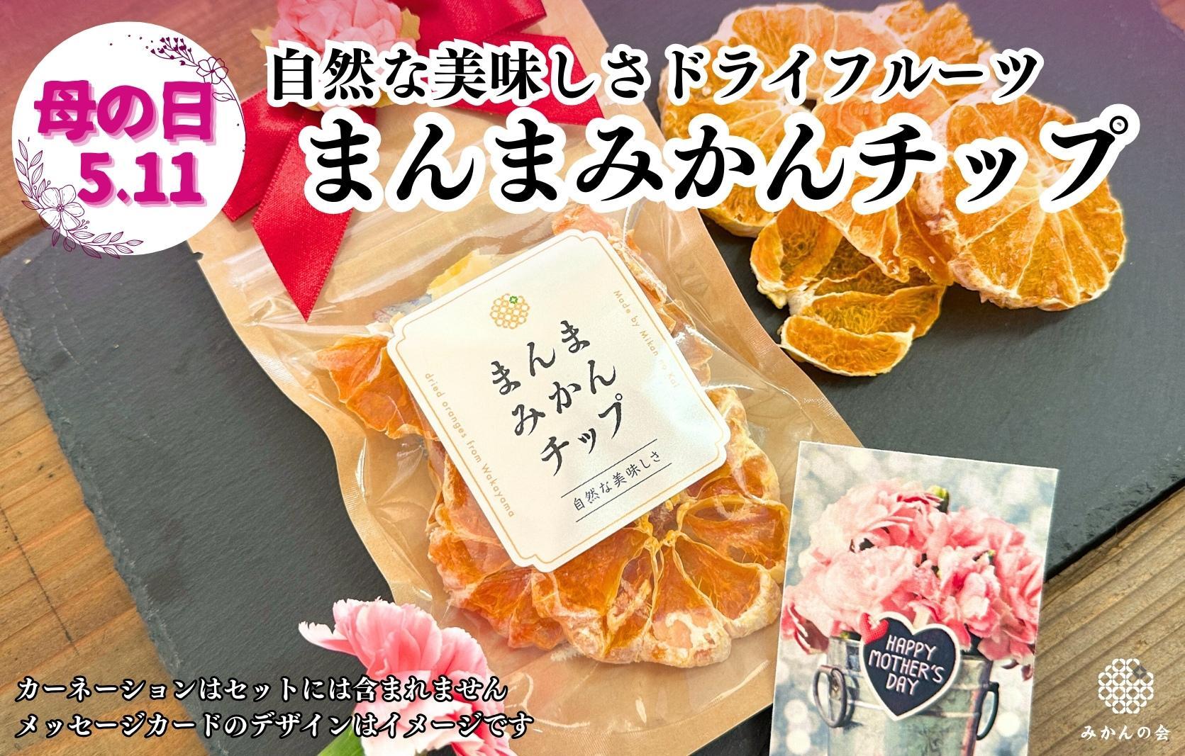【母の日ギフト】みかん ドライフルーツ まんまみかんチップ 100g ( 20g × 5袋 ) 和歌山県産 果物使用 国内製造 【みかんの会】
