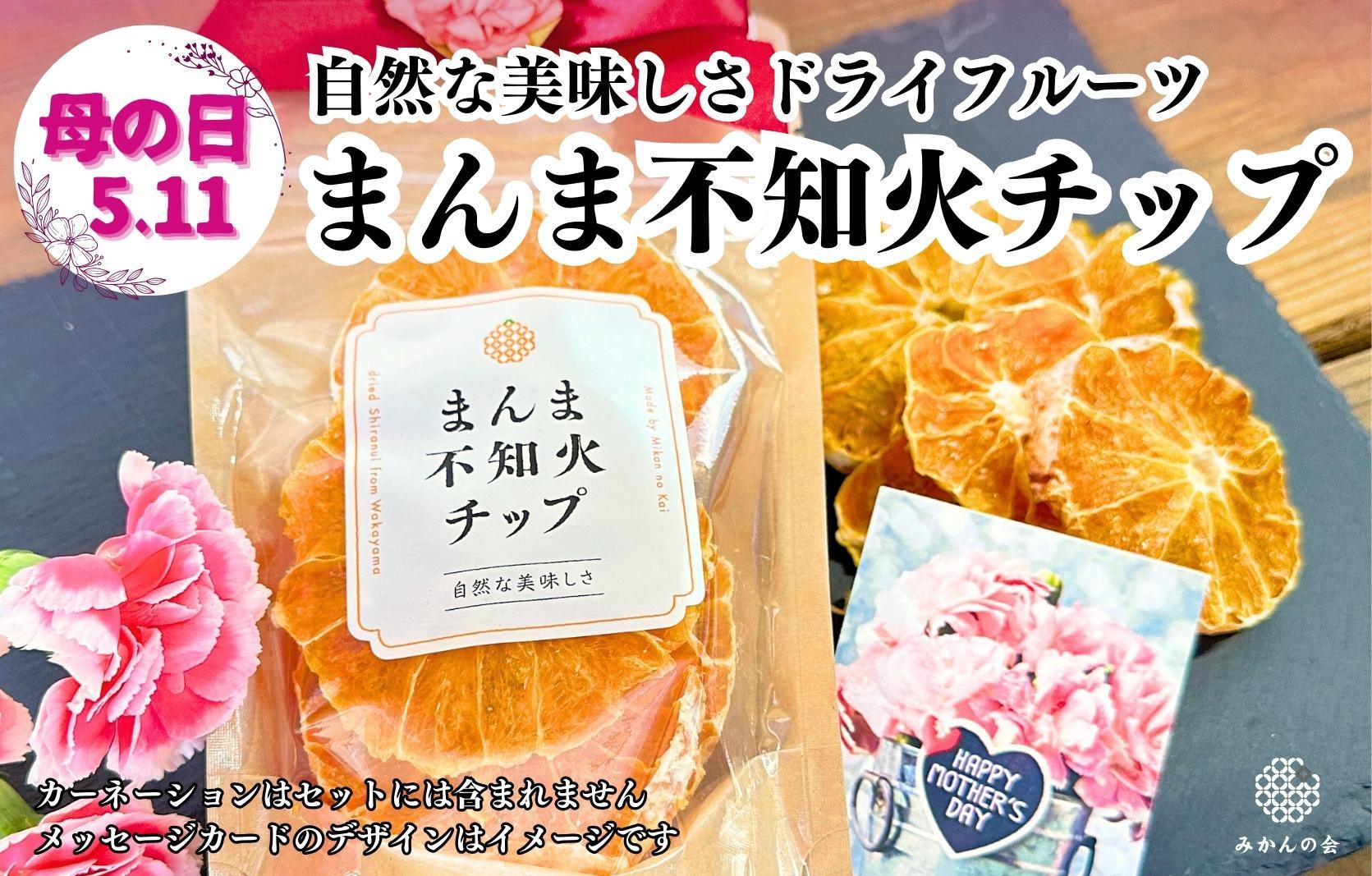 【母の日ギフト】しらぬい ドライフルーツ まんま不知火チップ 100g ( 20g × 5袋 )  和歌山県産 果物使用 国内製造 【みかんの会】